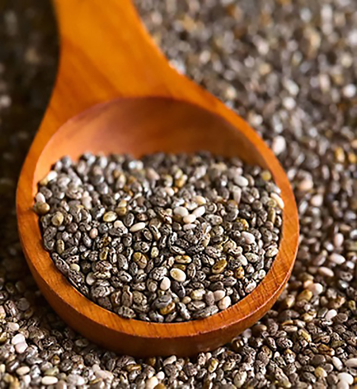 চিয়া সিড - ১ কেজি